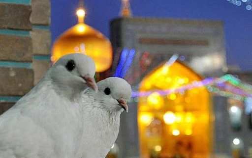 تور مشهد ارزان قیمت ویژه 1402